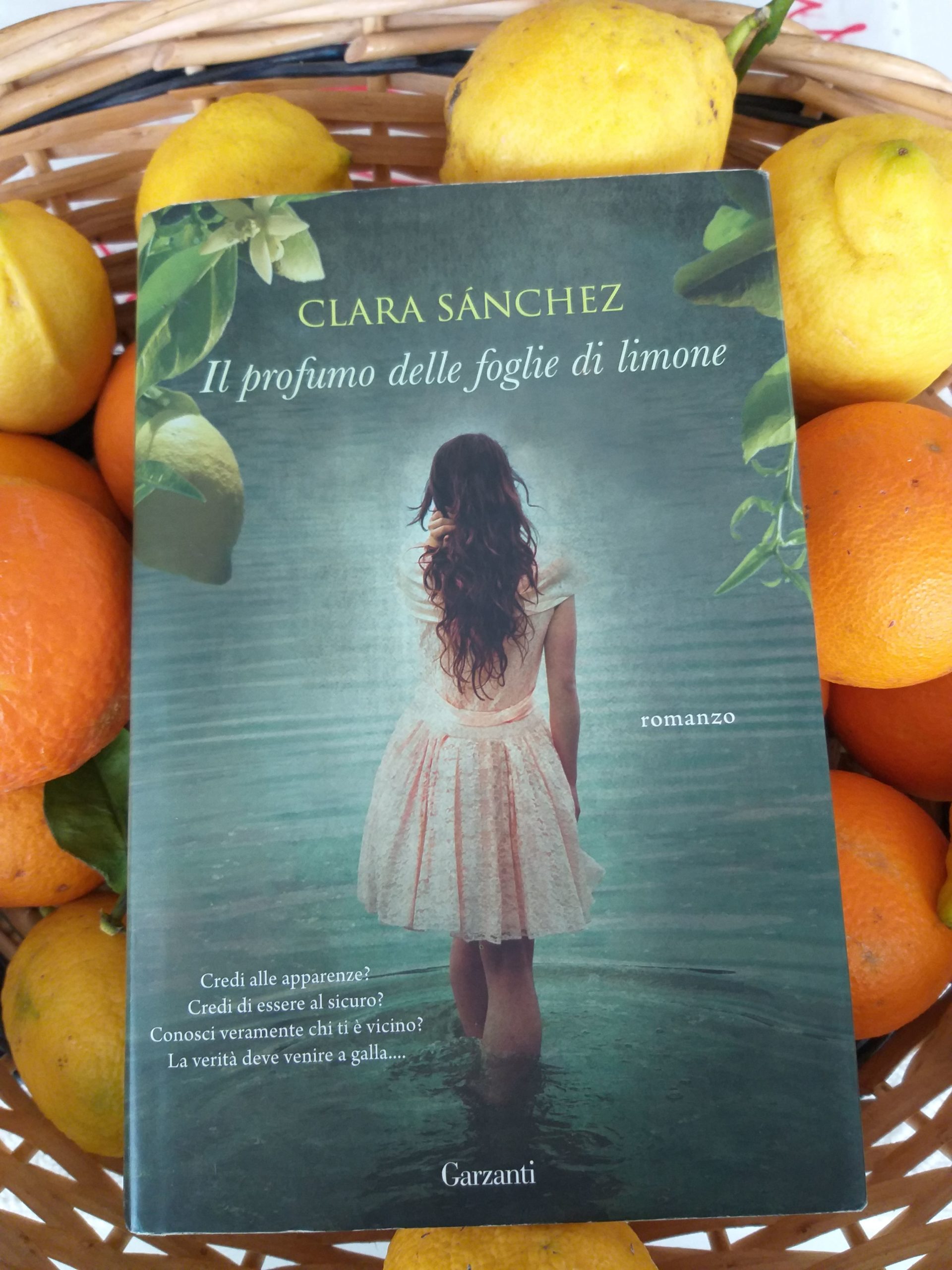 Il Profumo Delle Foglie Di Limone Trama