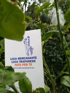 nata per te-min
