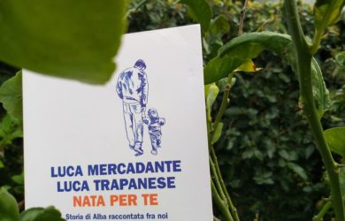 nata per te-min