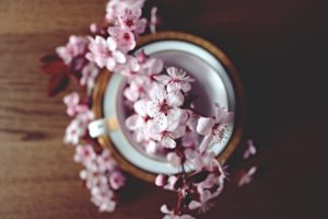 Finchè il caffè è calda - citazione
