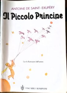 il piccolo principe
