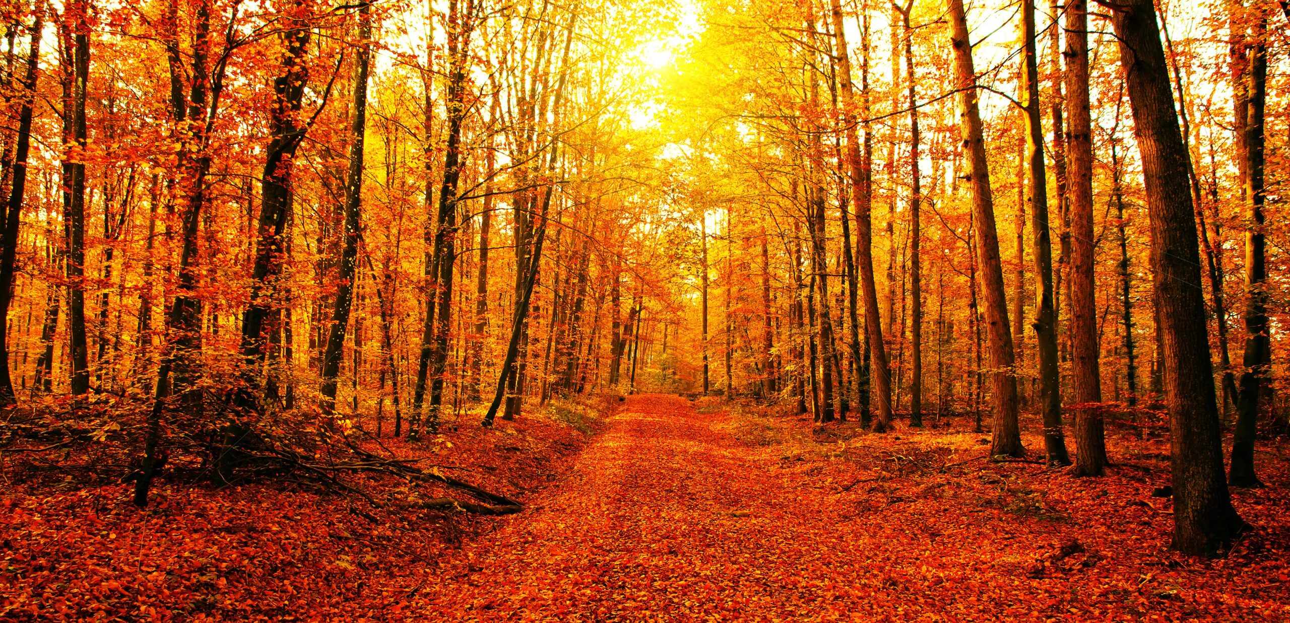 Autunno