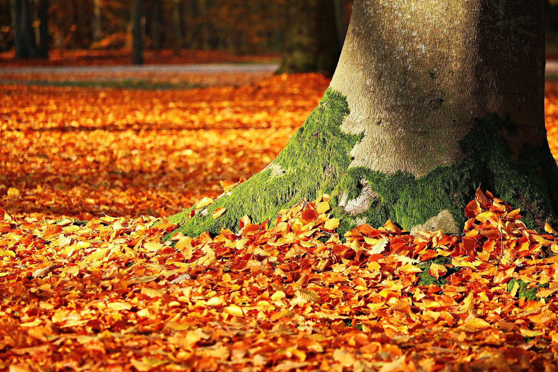 autunno