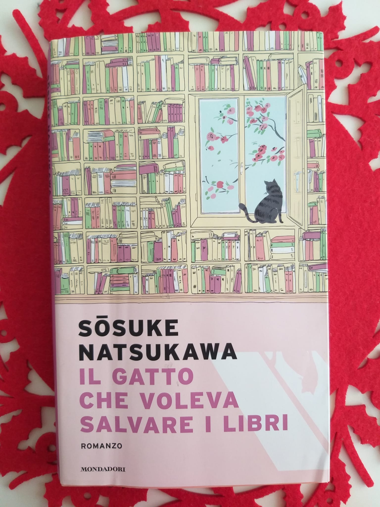 Il gatto che voleva salvare i libri
