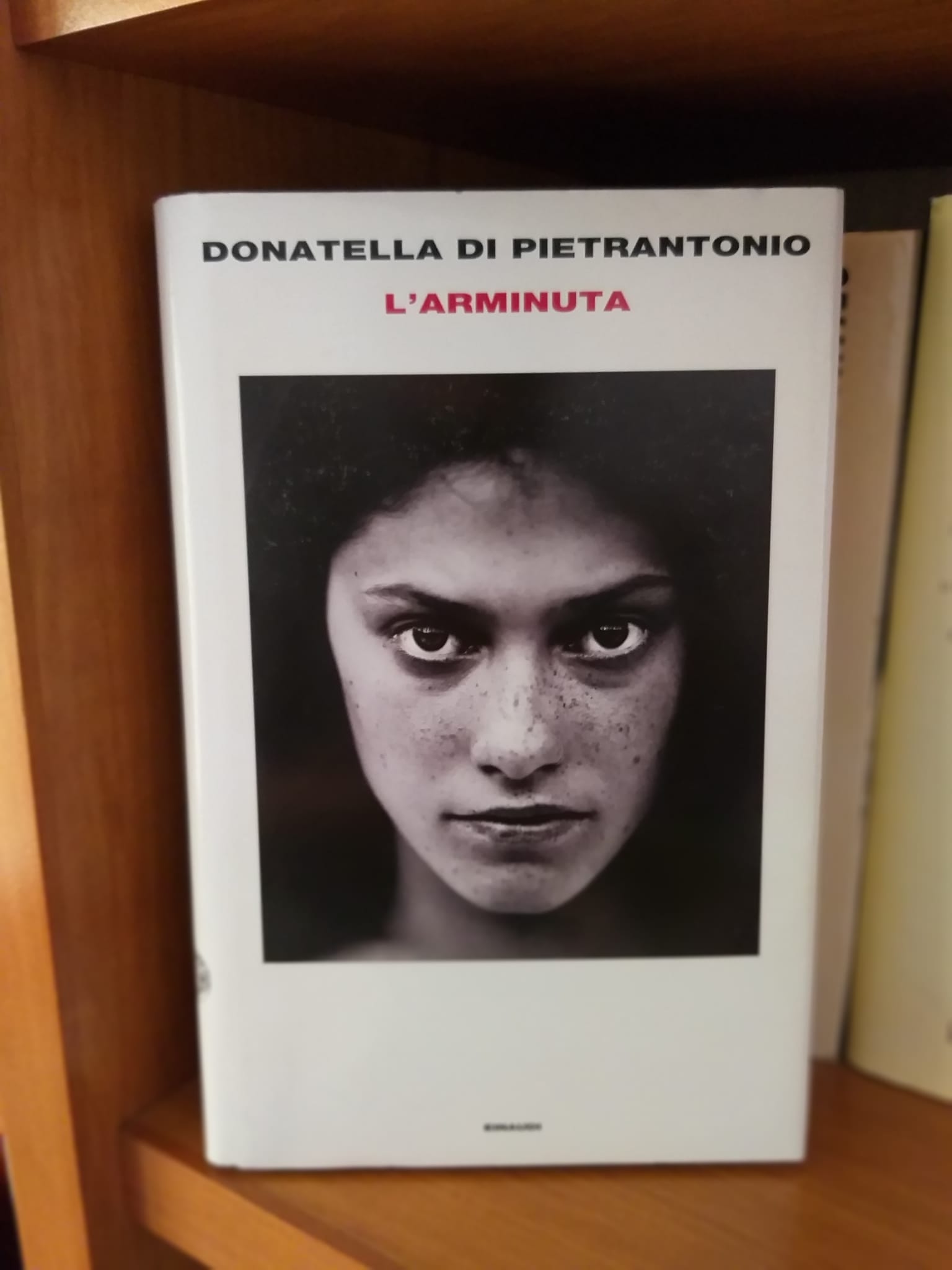 L'Arminuta - Autrice: Donatella Di Pietrantonio 